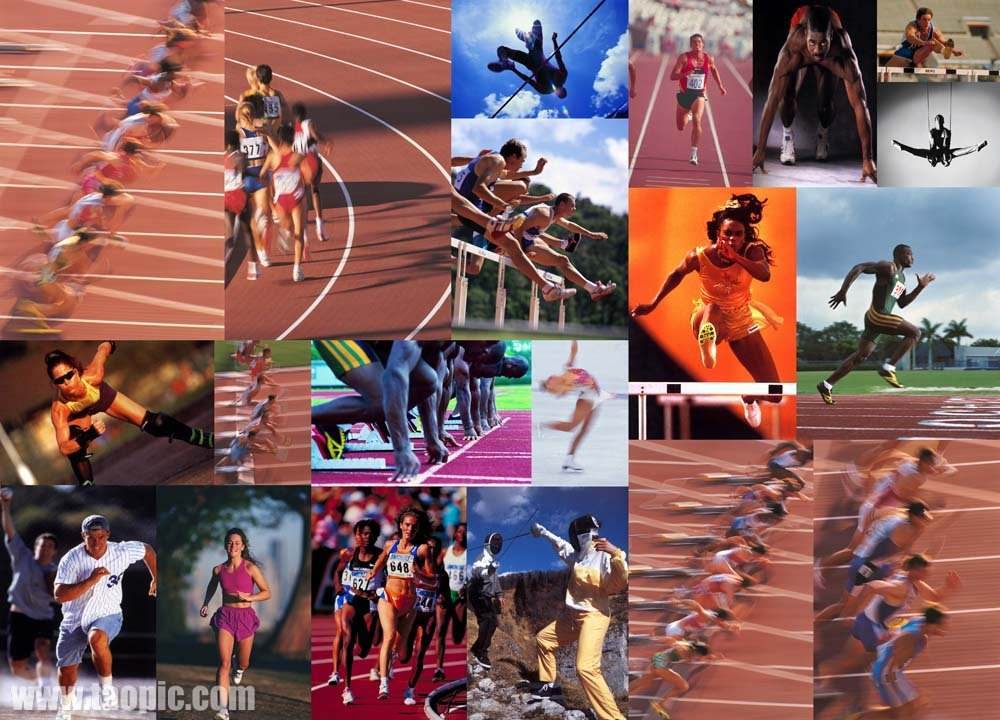 他灵巧的盘 他灵巧的盘