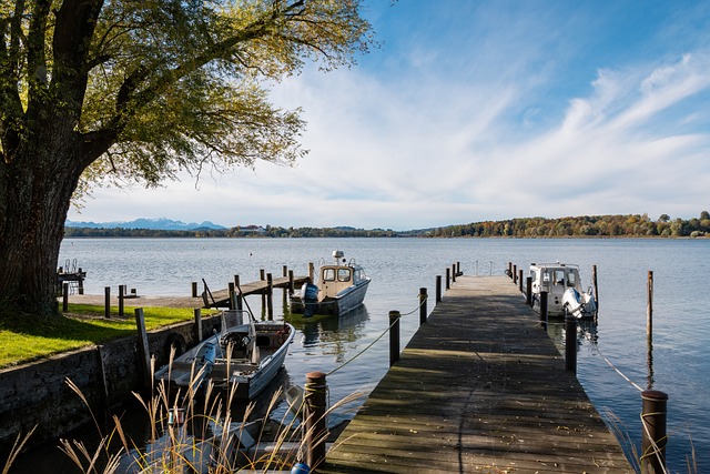 专业心理训 专业心理训