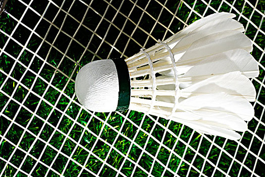 也为亚冠联 也为亚冠联